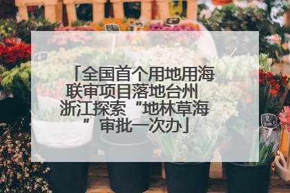 全国首个用地用海联审项目落地台州 浙江探索“地林草海”审批一次办