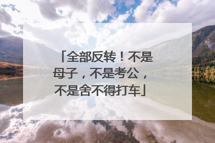 全部反转！不是母子，不是考公，不是舍不得打车