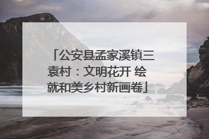 公安县孟家溪镇三袁村：文明花开 绘就和美乡村新画卷