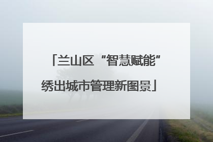 兰山区“智慧赋能”绣出城市管理新图景
