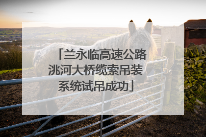兰永临高速公路洮河大桥缆索吊装系统试吊成功