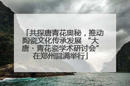 共探唐青花奥秘，推动陶瓷文化传承发展 “大唐・青花瓷学术研讨会”在郑州圆满举行