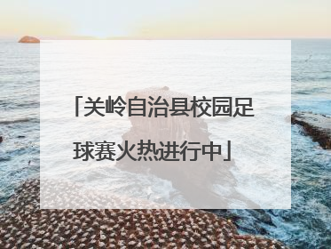 关岭自治县校园足球赛火热进行中