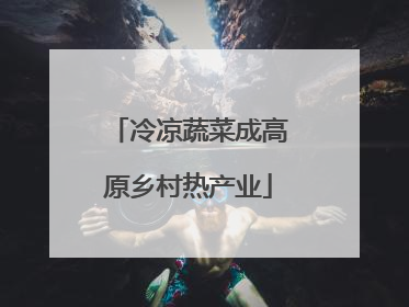 冷凉蔬菜成高原乡村热产业