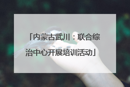 内蒙古武川：联合综治中心开展培训活动