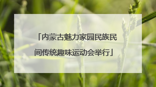 内蒙古魅力家园民族民间传统趣味运动会举行