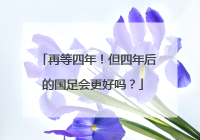 再等四年！但四年后的国足会更好吗？