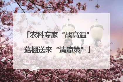 农科专家“战高温” 菇棚送来“清凉策”
