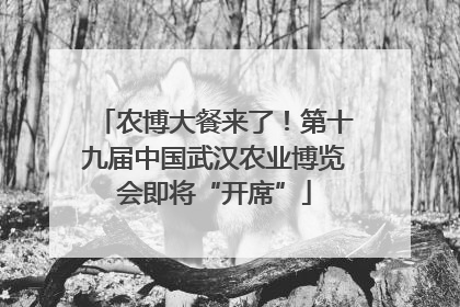 农博大餐来了！第十九届中国武汉农业博览会即将“开席”