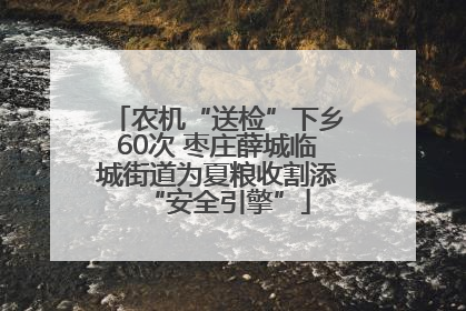 农机“送检”下乡60次 枣庄薛城临城街道为夏粮收割添“安全引擎”
