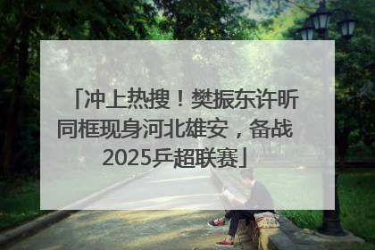 冲上热搜！樊振东许昕同框现身河北雄安，备战2025乒超联赛