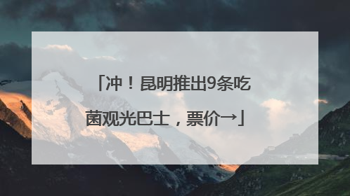 冲!昆明推出9条吃菌观光巴士,票价→