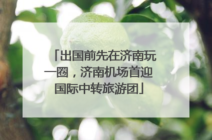 出国前先在济南玩一圈，济南机场首迎国际中转旅游团
