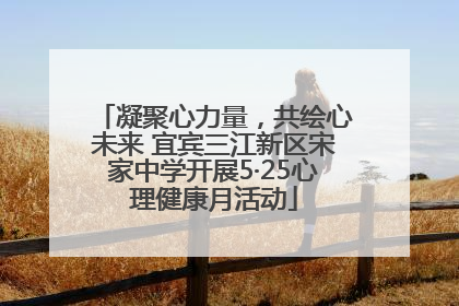 凝聚心力量，共绘心未来 宜宾三江新区宋家中学开展5·25心理健康月活动