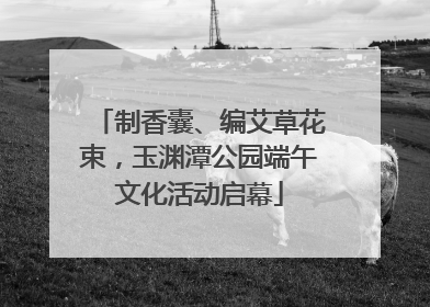 制香囊、编艾草花束，玉渊潭公园端午文化活动启幕