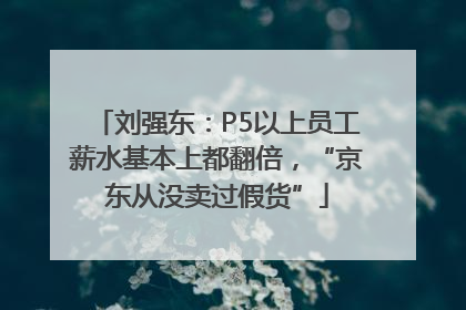 刘强东：P5以上员工薪水基本上都翻倍，“京东从没卖过假货”