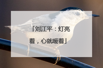 刘江平：灯亮着，心就暖着