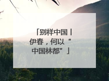 别样中国丨伊春，何以“中国林都”