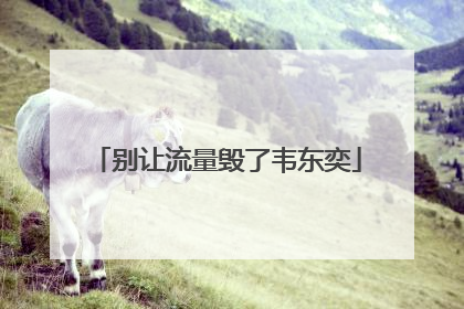 别让流量毁了韦东奕