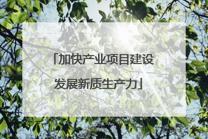 加快产业项目建设 发展新质生产力