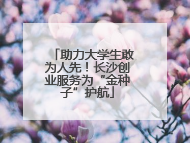 助力大学生敢为人先！长沙创业服务为“金种子”护航
