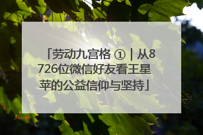 劳动九宫格 ①｜从8726位微信好友看王星苹的公益信仰与坚持