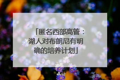 匿名西部高管：湖人对布朗尼有明确的培养计划