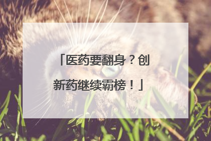 医药要翻身？创新药继续霸榜！