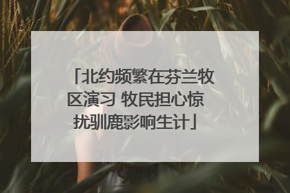 北约频繁在芬兰牧区演习 牧民担心惊扰驯鹿影响生计