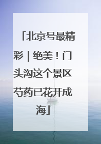 北京号最精彩｜绝美！门头沟这个景区芍药已花开成海