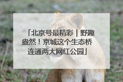 北京号最精彩｜野趣盎然！京城这个生态桥连通两大网红公园