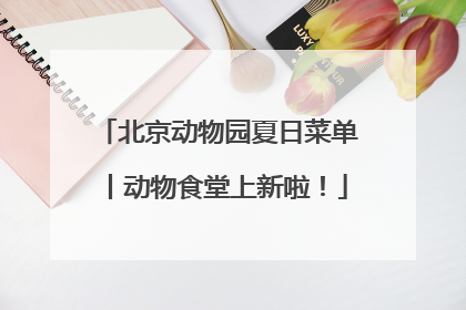 北京动物园夏日菜单丨动物食堂上新啦！