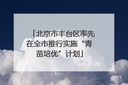 北京市丰台区率先在全市推行实施“青苗培优”计划