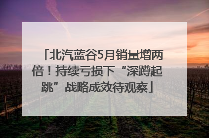 北汽蓝谷5月销量增两倍！持续亏损下“深蹲起跳”战略成效待观察