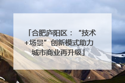 合肥庐阳区：“技术+场景”创新模式助力城市商业再升级