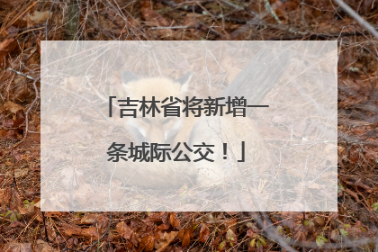 吉林省将新增一条城际公交！
