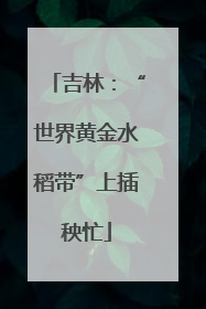 吉林：“世界黄金水稻带”上插秧忙