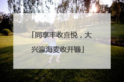 同享丰收喜悦，大兴瀛海麦收开镰