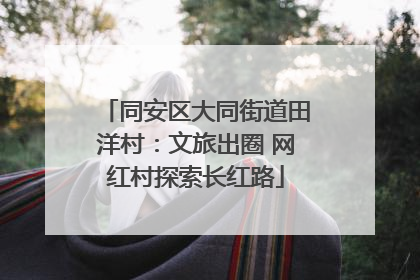 同安区大同街道田洋村：文旅出圈 网红村探索长红路