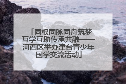 同根同脉同舟筑梦 互学互助传承共融——河西区举办津台青少年国学交流活动