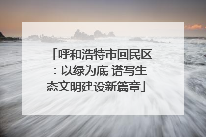 呼和浩特市回民区：以绿为底 谱写生态文明建设新篇章