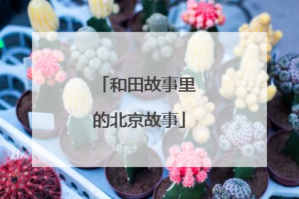 和田故事里的北京故事