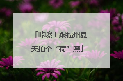 咔嚓！跟福州夏天拍个“荷”照