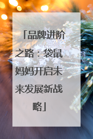 品牌进阶之路：袋鼠妈妈开启未来发展新战略