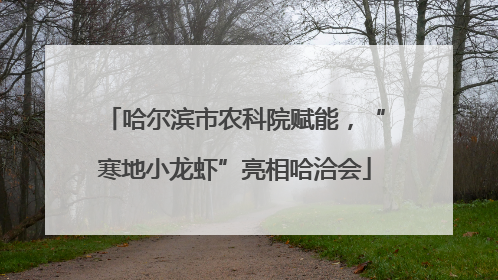 哈尔滨市农科院赋能，“寒地小龙虾”亮相哈洽会