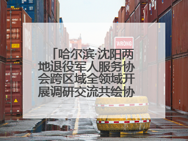 哈尔滨·沈阳两地退役军人服务协会跨区域全领域开展调研交流共绘协同发展