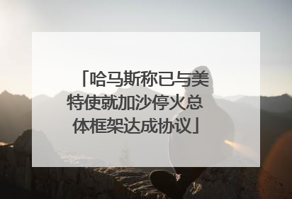 哈马斯称已与美特使就加沙停火总体框架达成协议
