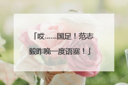 哎……国足！范志毅昨晚一度语塞！