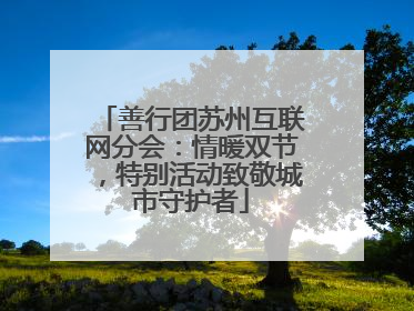 善行团苏州互联网分会：情暖双节，特别活动致敬城市守护者