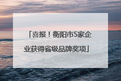 喜报！衡阳市5家企业获得省级品牌奖项